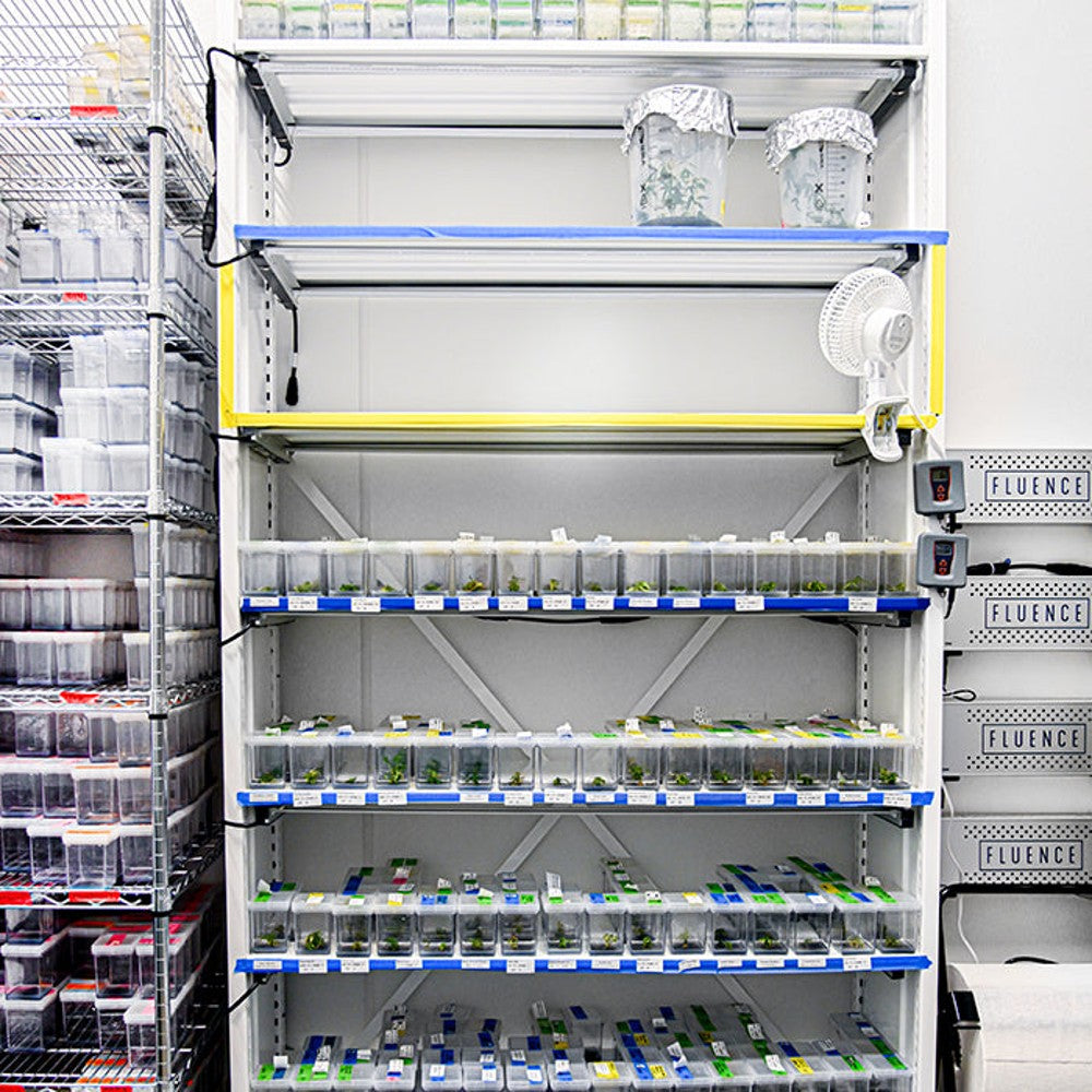 MONTEL - Leading Manufacturer of Mobile Storage Systems (CUSTOM PRICED AFTER ORDER) – Commercial Racking & Benching
