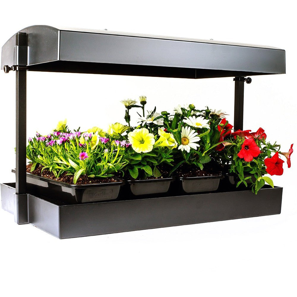 Grow Light Garden (1/ea) - Black Label Supply llc