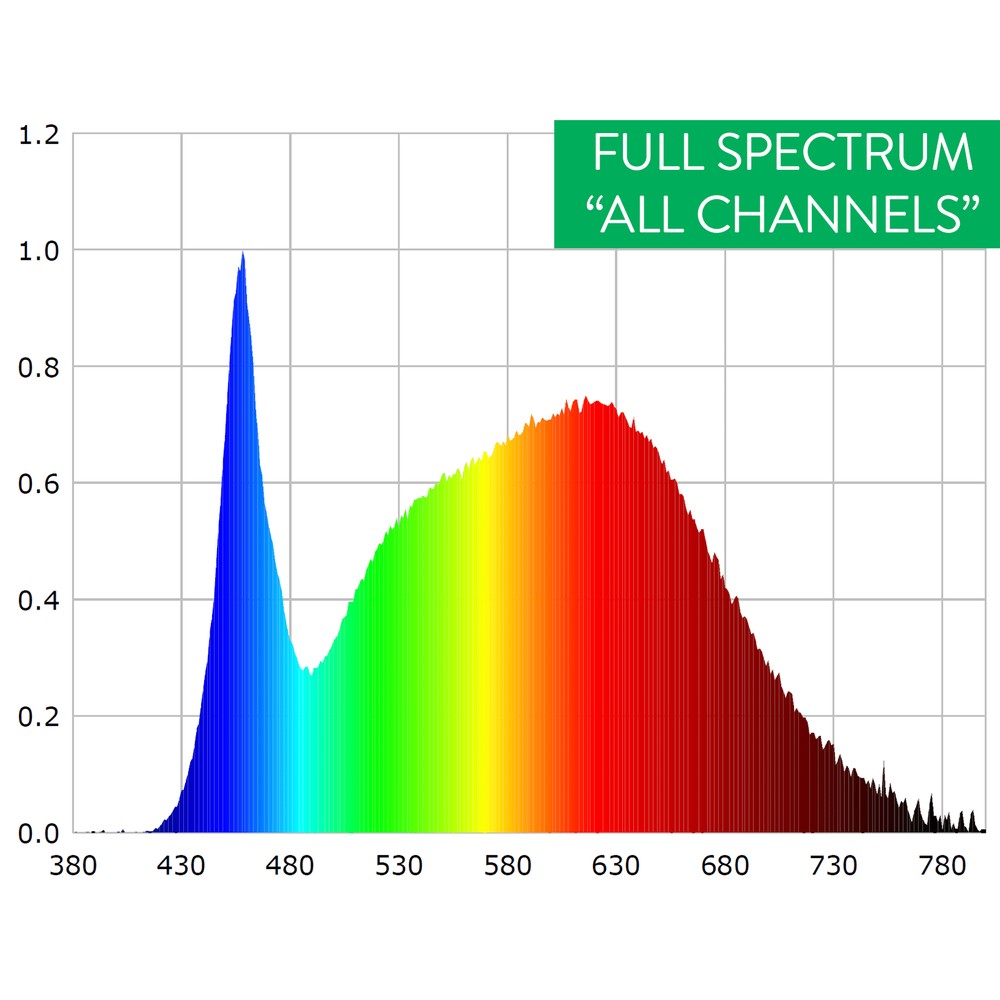 Scynce - Raging Kale II+ – LED - Top Light