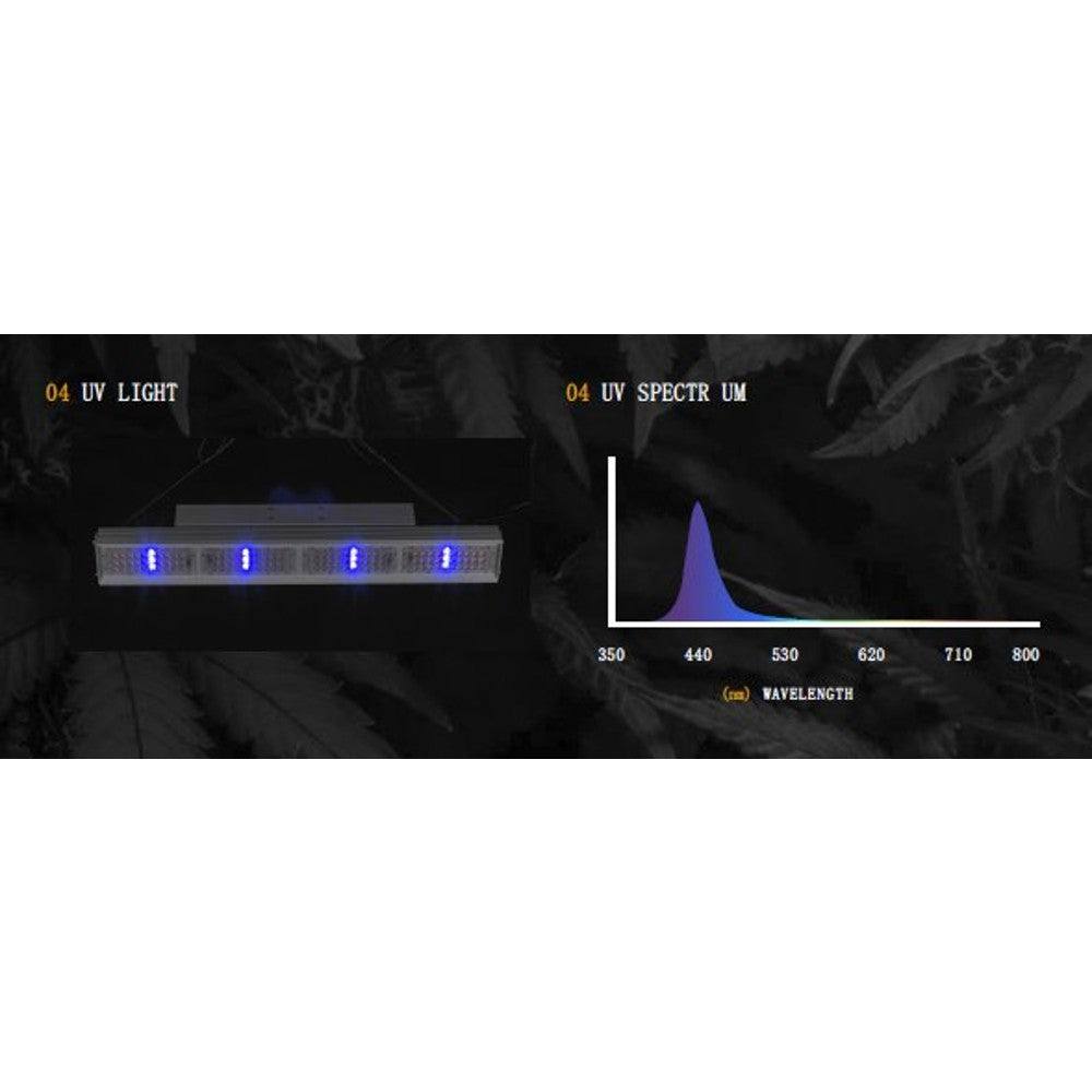 EST GH001 Pro - Black Label Supply llc