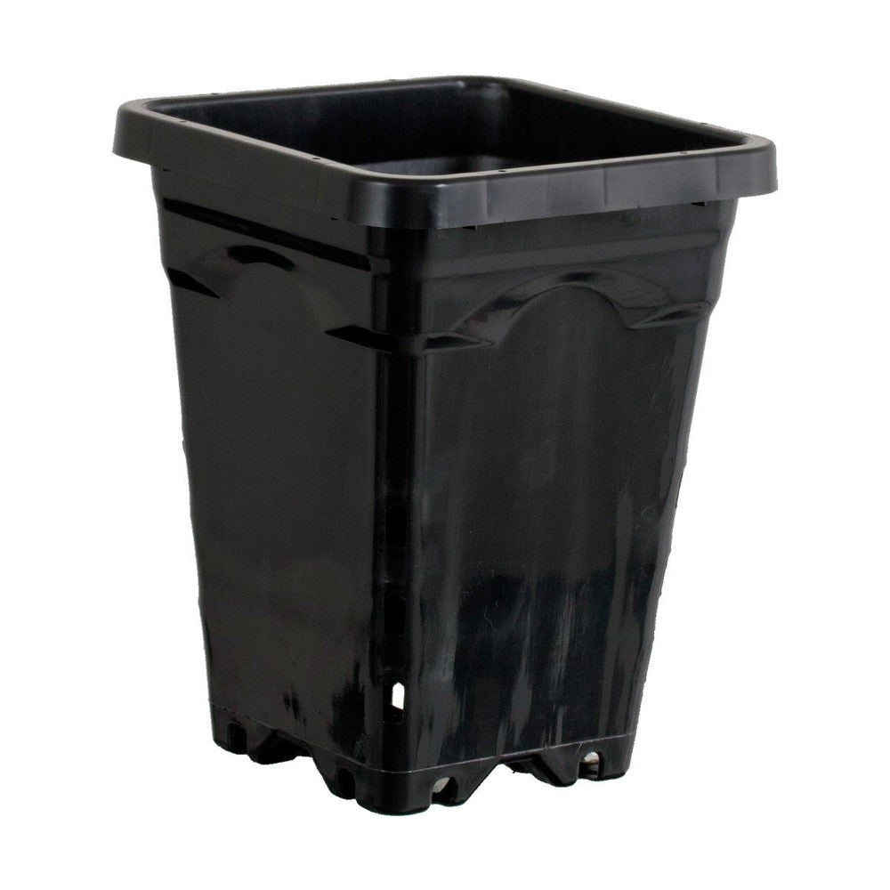 Square Black Pot - Black Label Supply llc