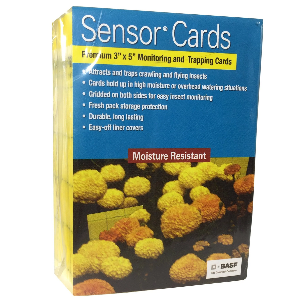 BASF - Sensor Card Yellow - 1 pack