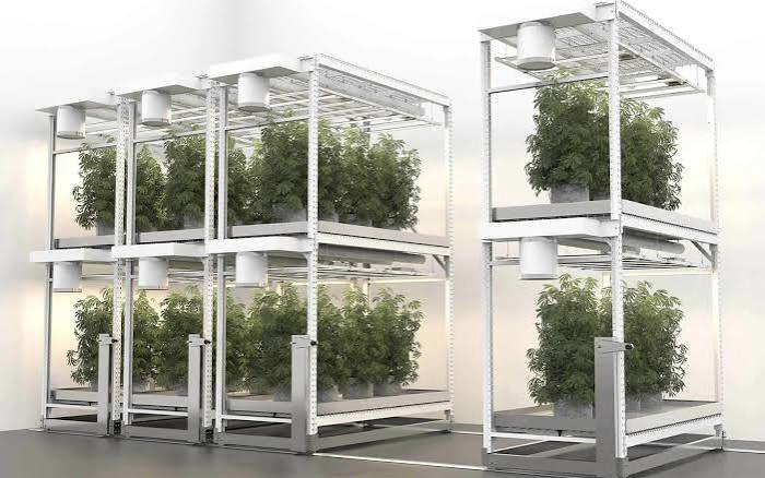 CM Horticulture Racking, Benching, Airflow & Cultivation Systems — Custom Design & Quote
