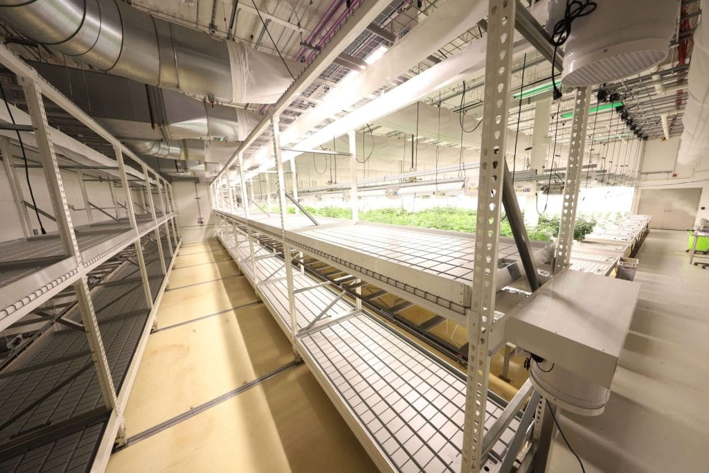 CM Horticulture Racking, Benching, Airflow & Cultivation Systems — Custom Design & Quote