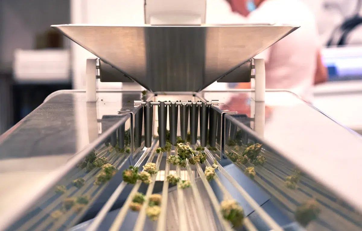 Mobius M9 Sorter