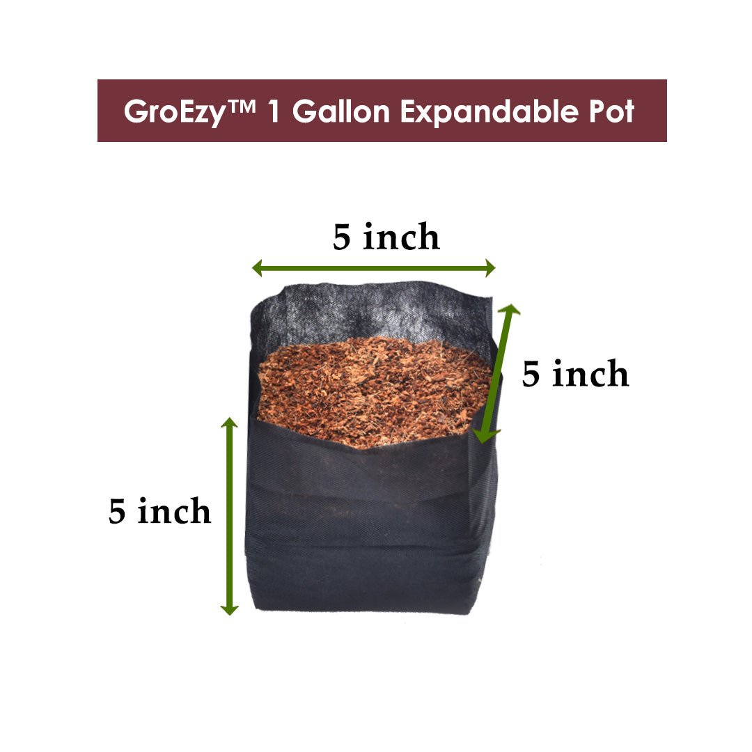 GroEzy - Expandable Coco Pot in Fabric Bag - product image 2