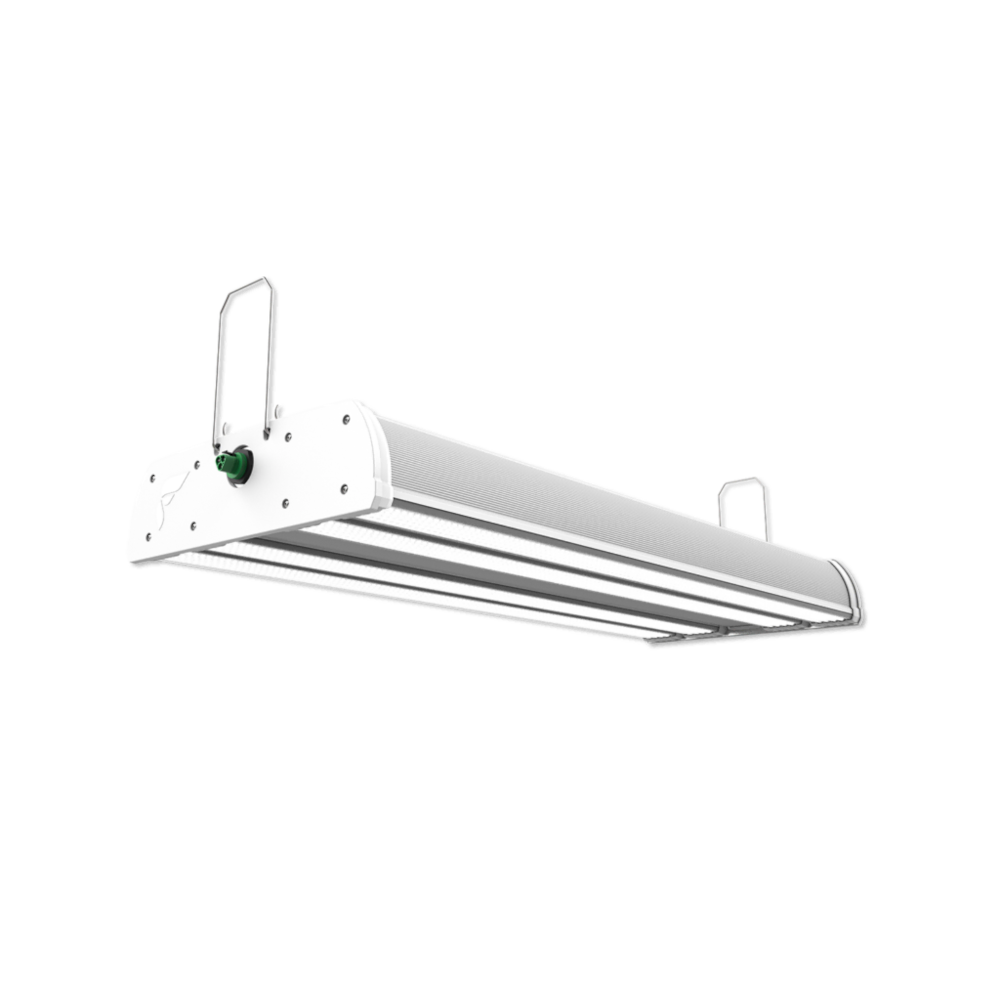 RAPTR| BW4| 1020W| 150| US| SP