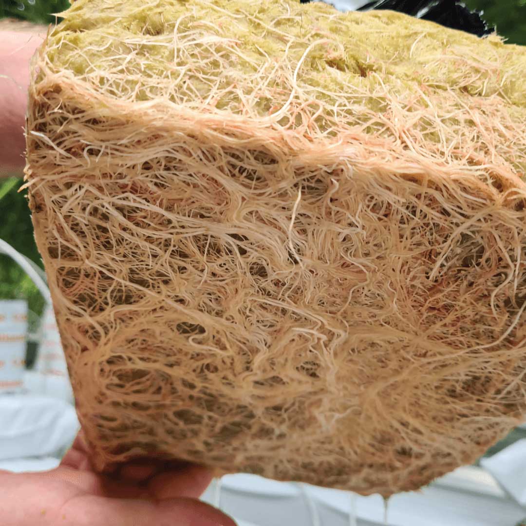 Cultiwool - Stonewool Grow Slabs