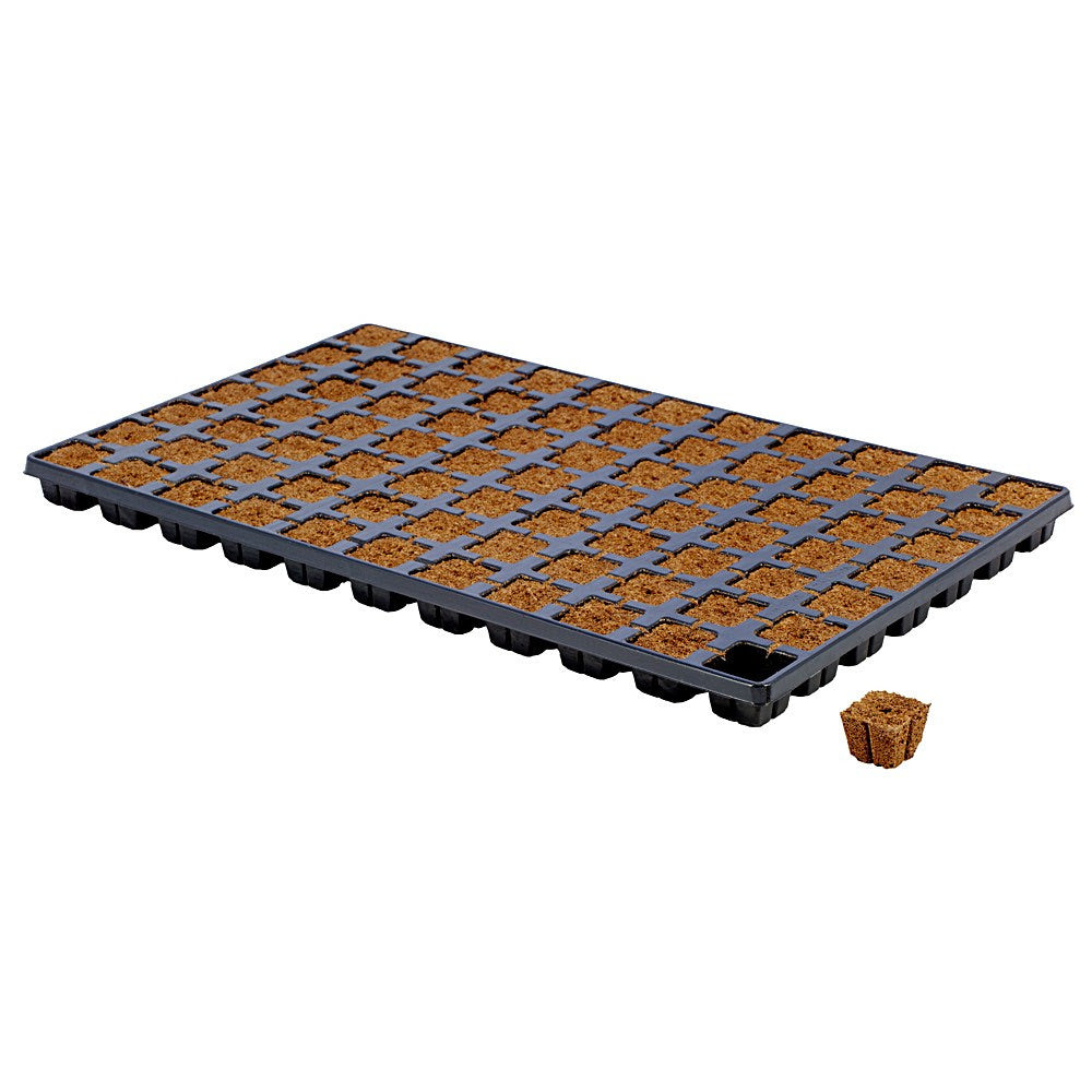 Eazy Plug CT77 trays - BULK 1000ct - 42cs/pallet