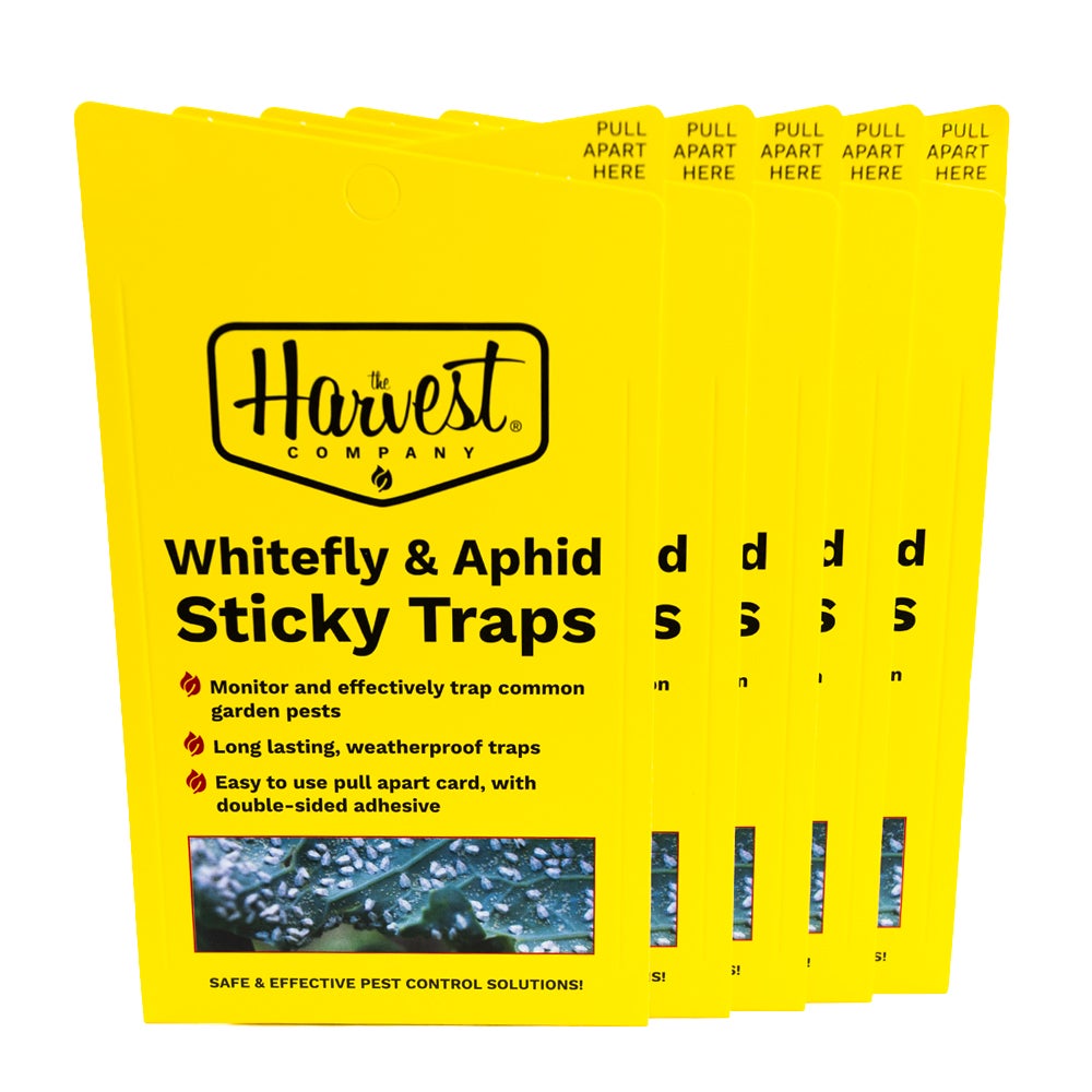 The Harvest Company yellow sticky whitefly and aphid traps, 5 pack - front of pack