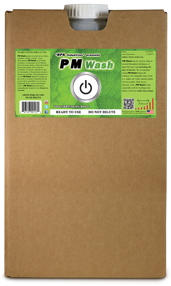 PM Wash