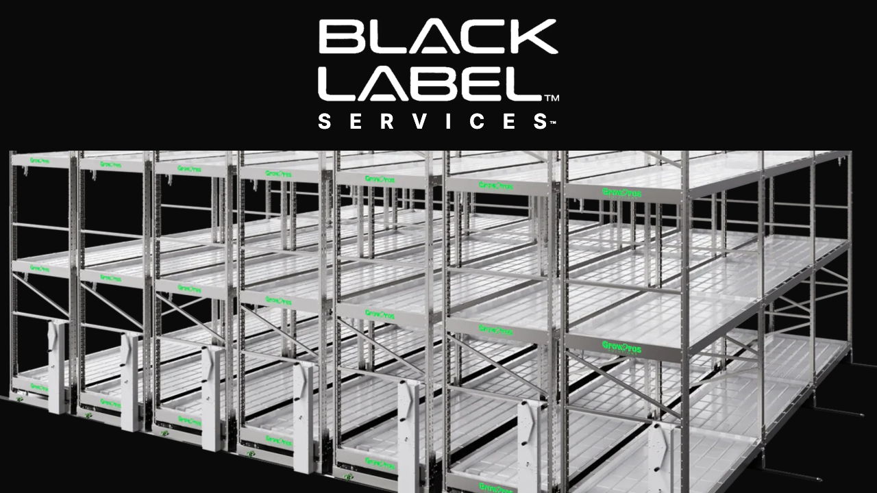 BLACK LABEL Services - vertical grow racking systems