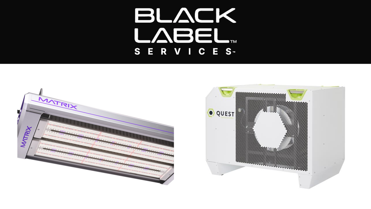 BLACK LABEL Services - year-end capital planning for commercial cultivation