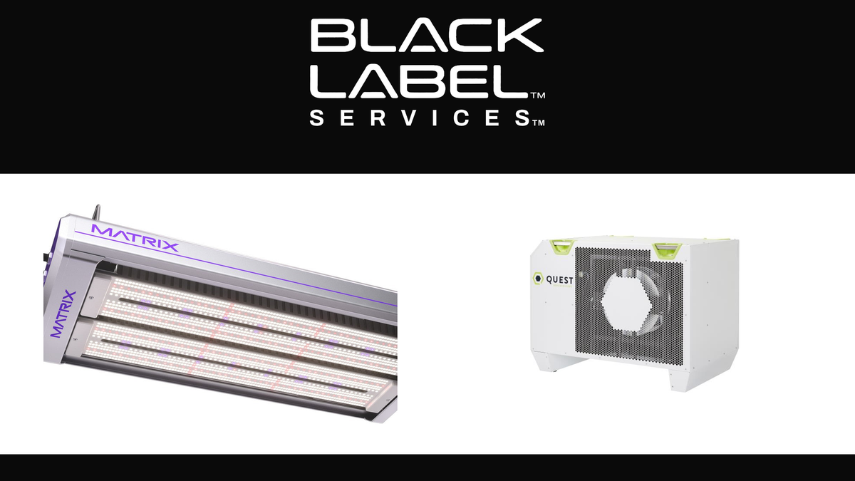 BLACK LABEL Services - year-end capital planning for commercial cultivation