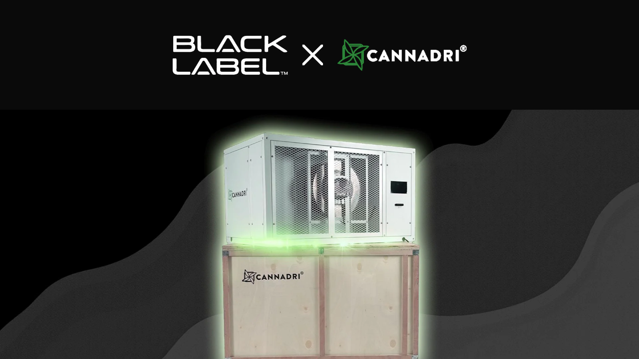 BLACK LABEL x CANNADRI collaboration - commercial dehumidifier