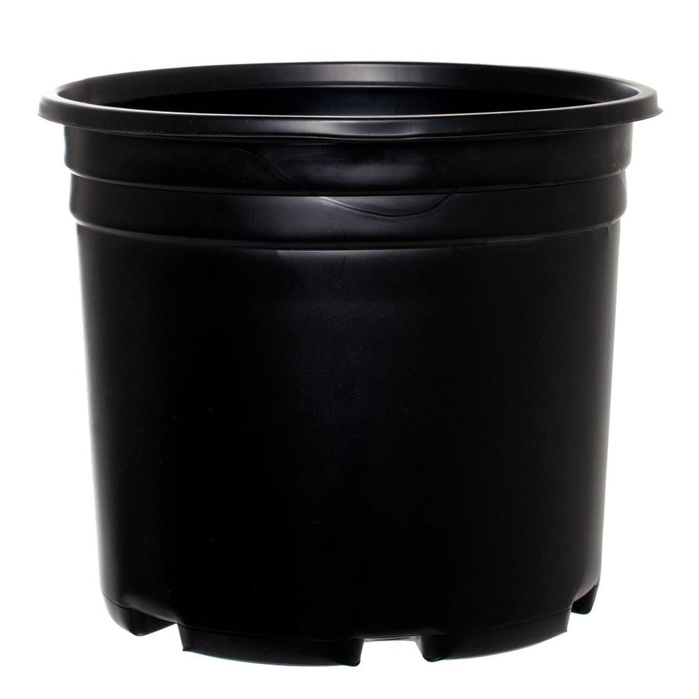 Pro Cal Thermo Pot - Black Label Supply llc