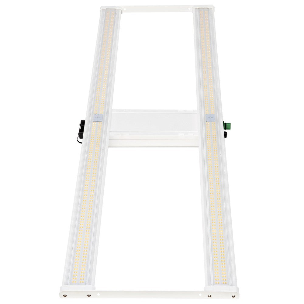 Papillion Avalon Pro - Black Label Supply llc