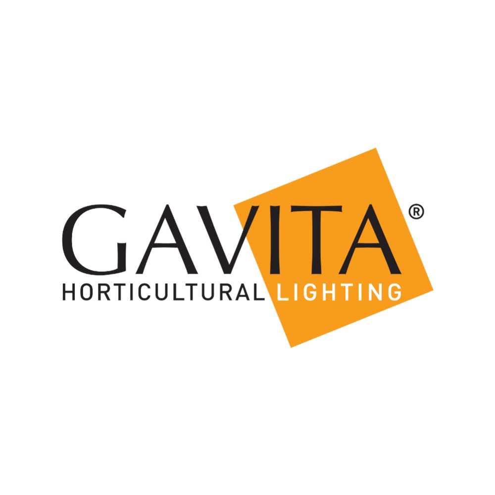 GAVITA 6.5FT DAISY CHAIN 5 Pin POWER CRD – Cables / Drivers / Components