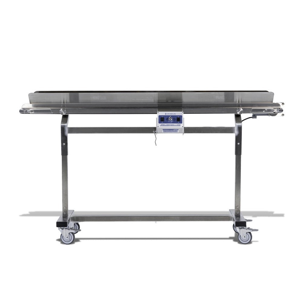 Mobius Infeed Conveyor – Belt Conveyor