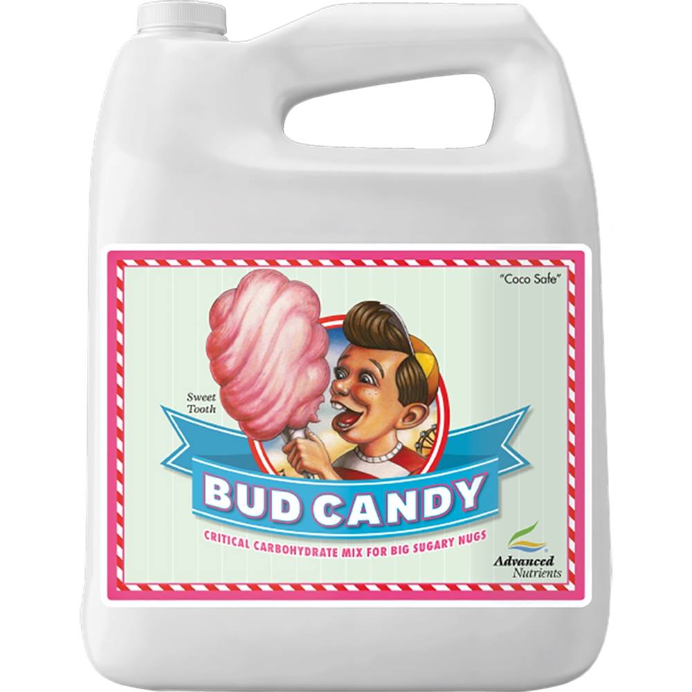 Bud Candy 4 L