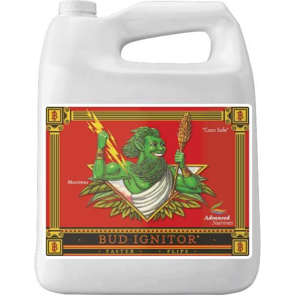 Bud Ignitor 4 L