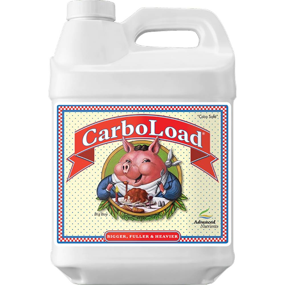 CarboLoad 10 L