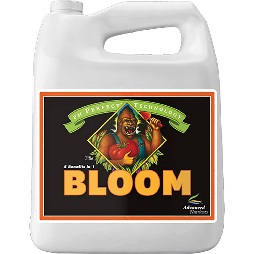 pH Perfect Bloom 4 L