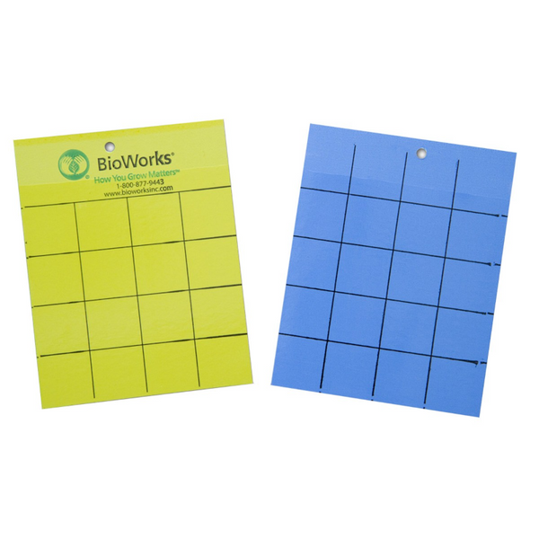 BioWorks Insect Monitoring Sticky Cards - 100ct - Yellow/Blue
