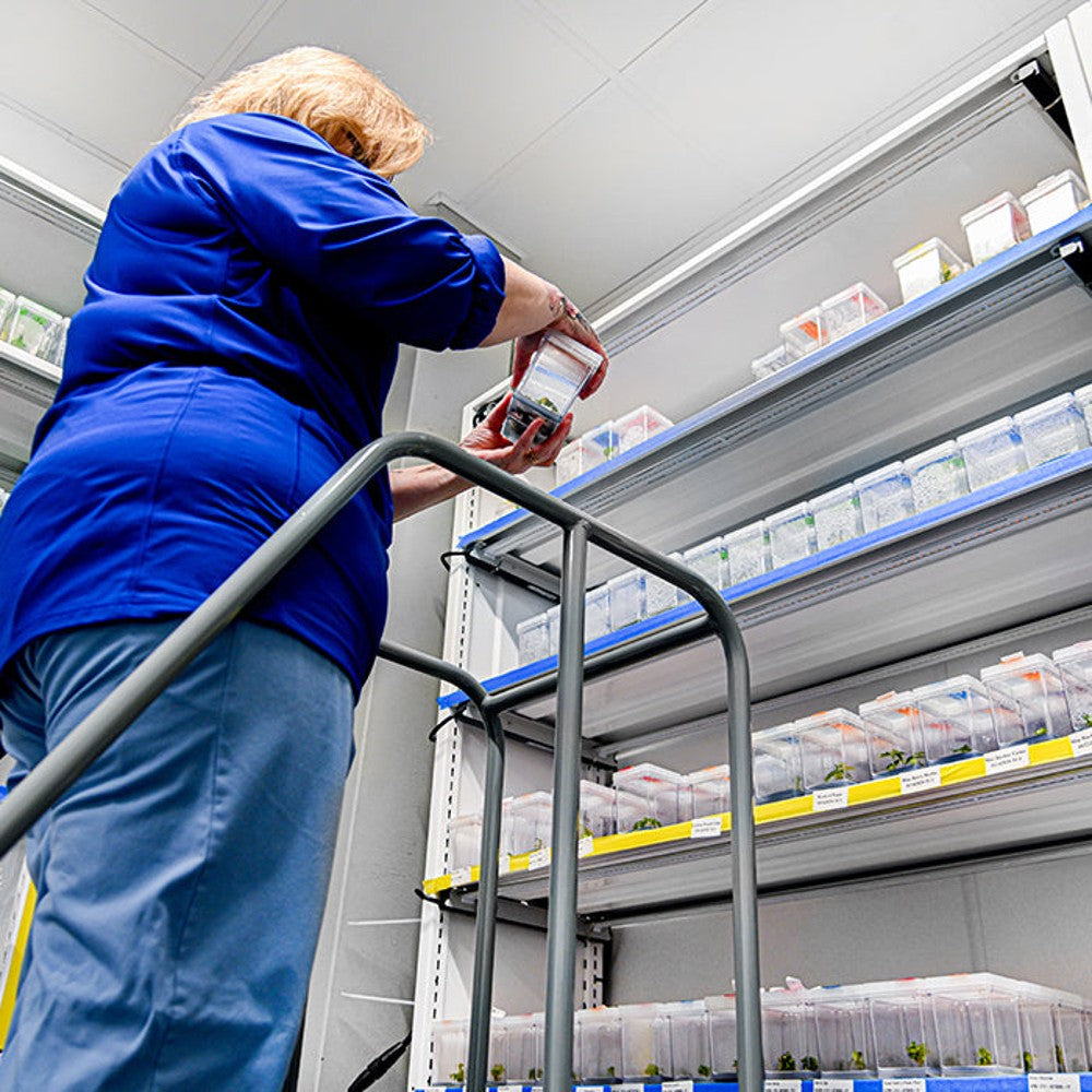 MONTEL - Leading Manufacturer of Mobile Storage Systems (CUSTOM PRICED AFTER ORDER) – Commercial Racking & Benching