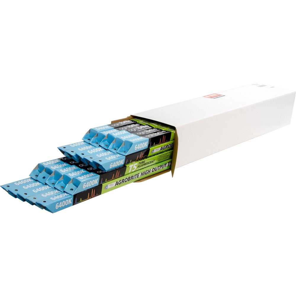 2' - T5 Replacement 6400k, 24w, case of 20 - Black Label Supply llc