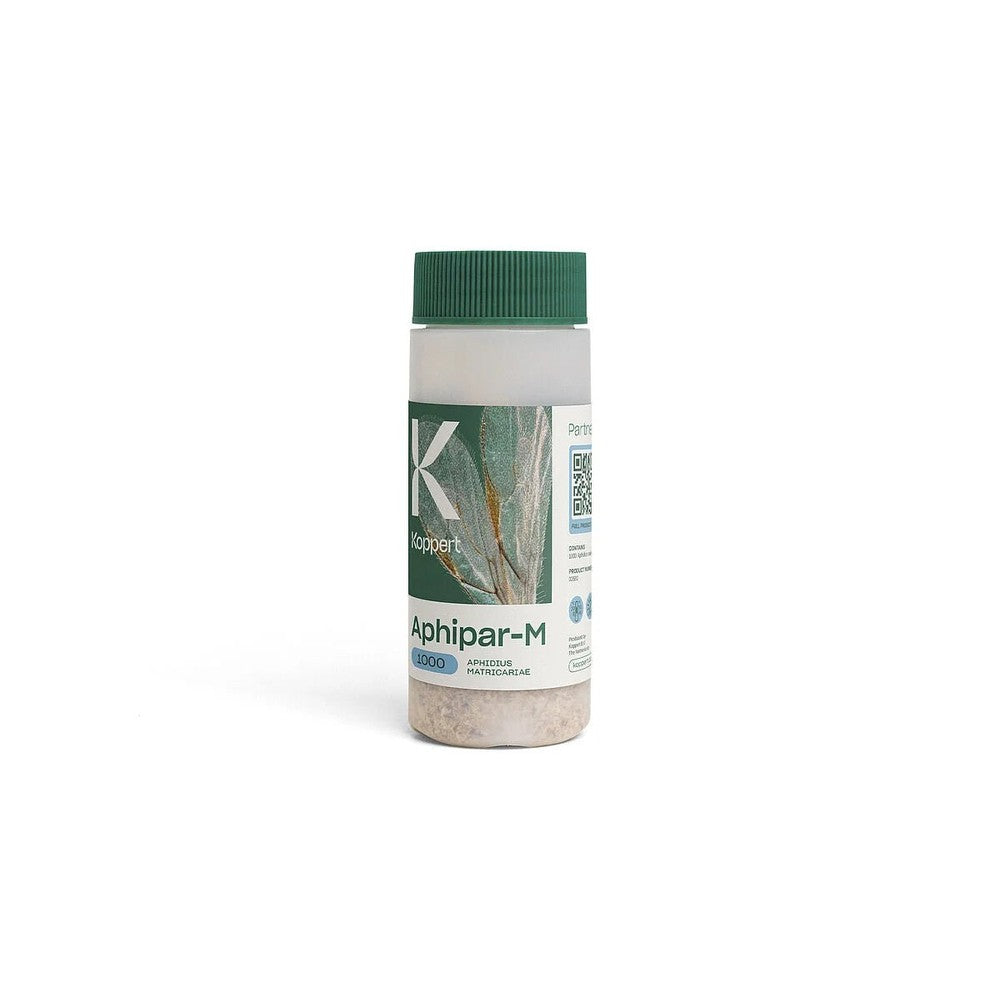Aphipar - M Small - Black Label Supply llc