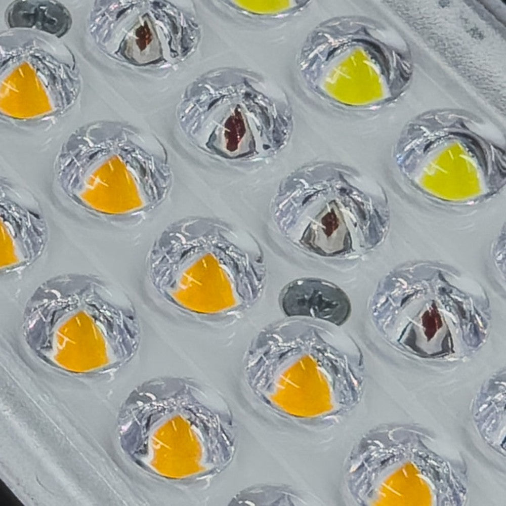 Scynce - Raging Kale II+ – LED - Top Light