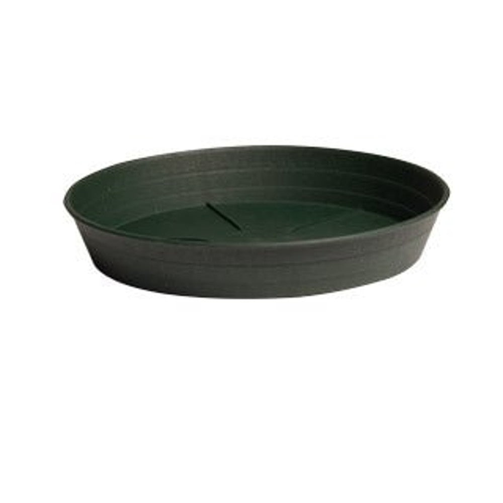 Green Premium Saucers - Black Label Supply llc