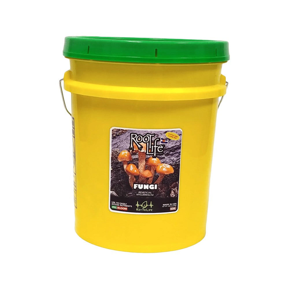 KEY TO LIFE - ROOT LIFE FUNGI - Black Label Supply llc