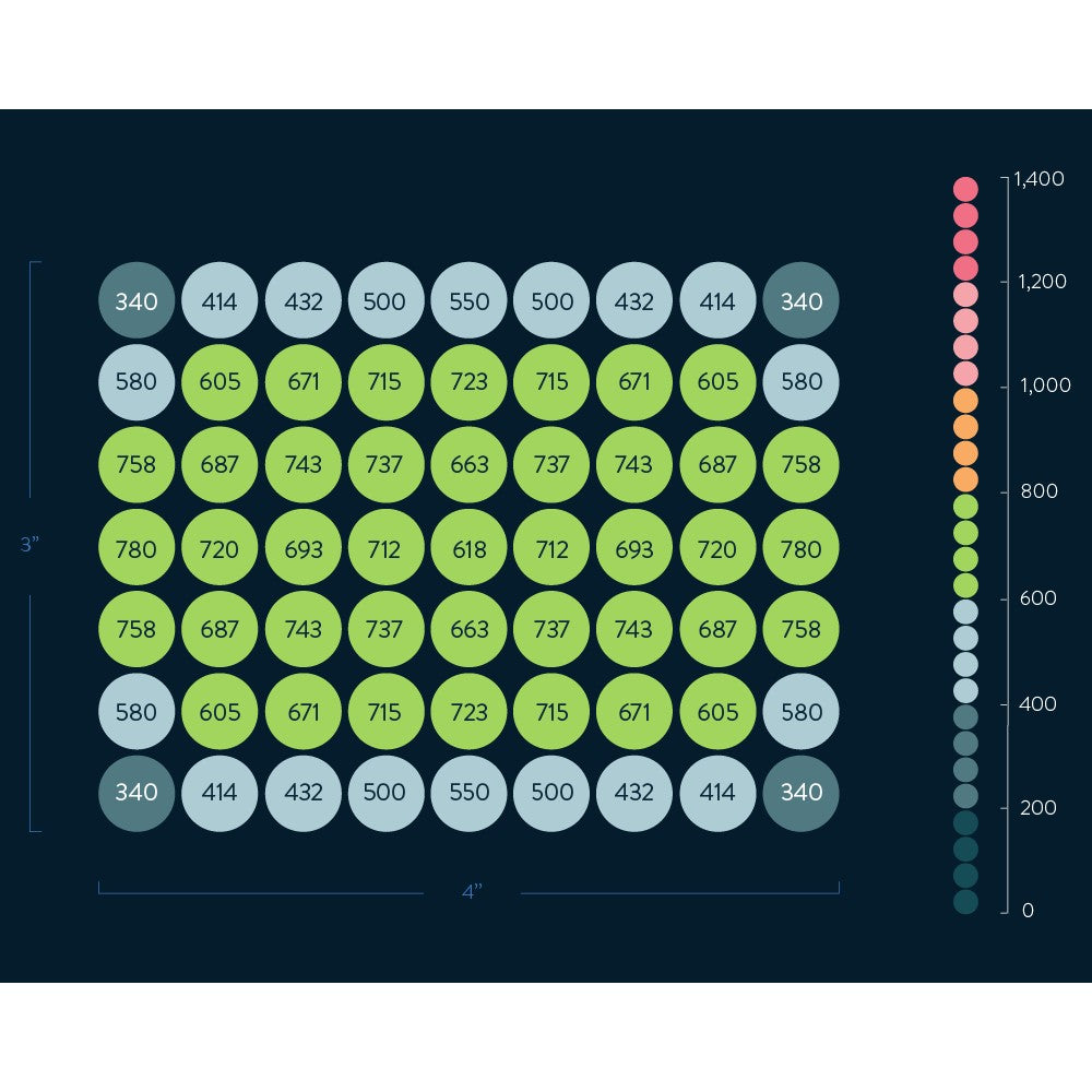 Scynce - Raging Kale II – LED - Top Light