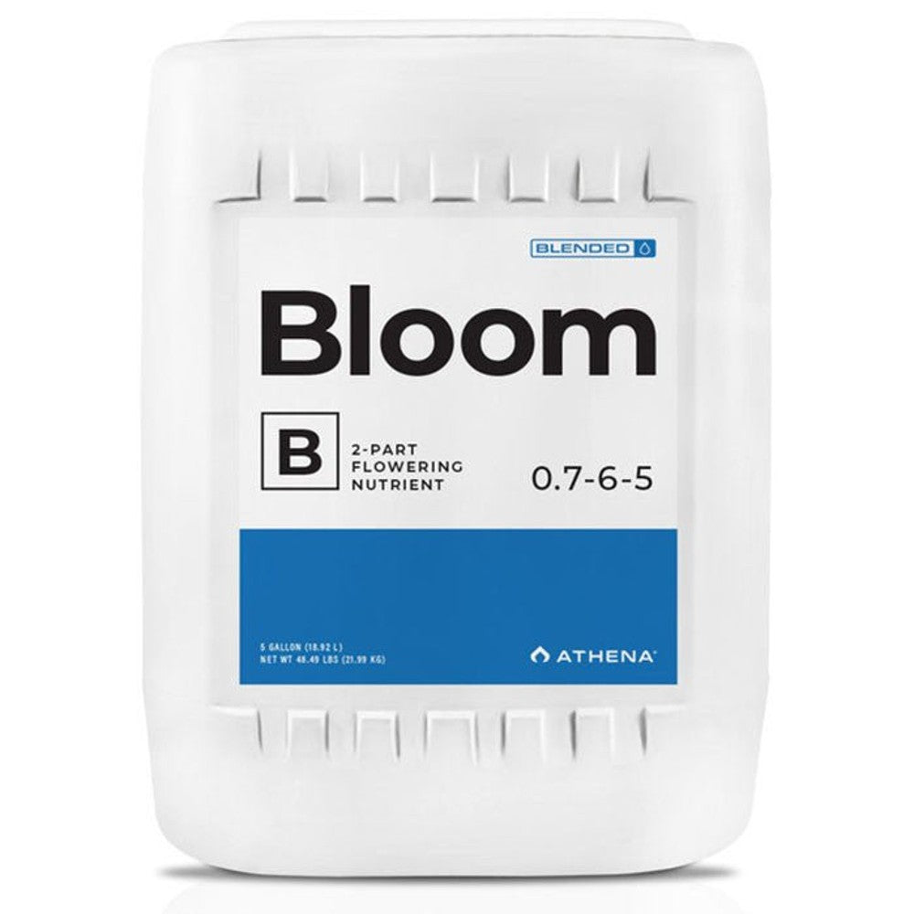 Athena - Bloom B - Black Label Supply llc