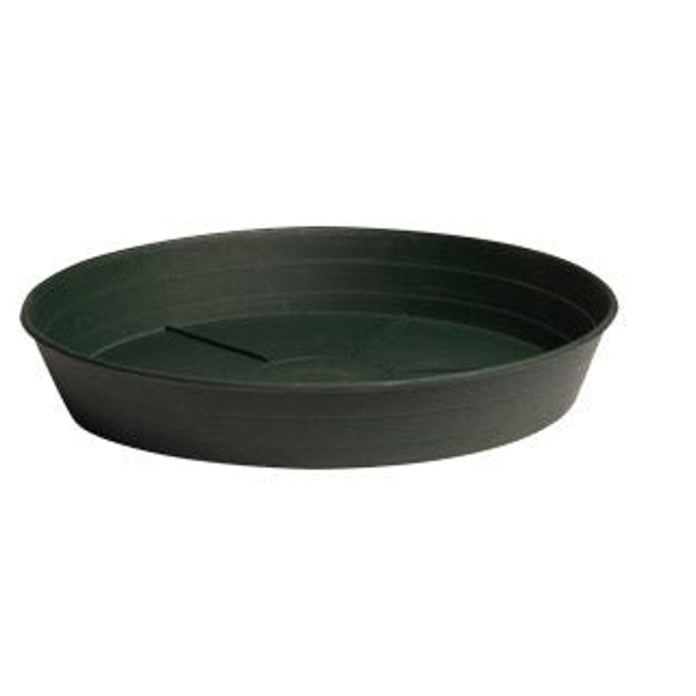 Green Premium Saucers - Black Label Supply llc