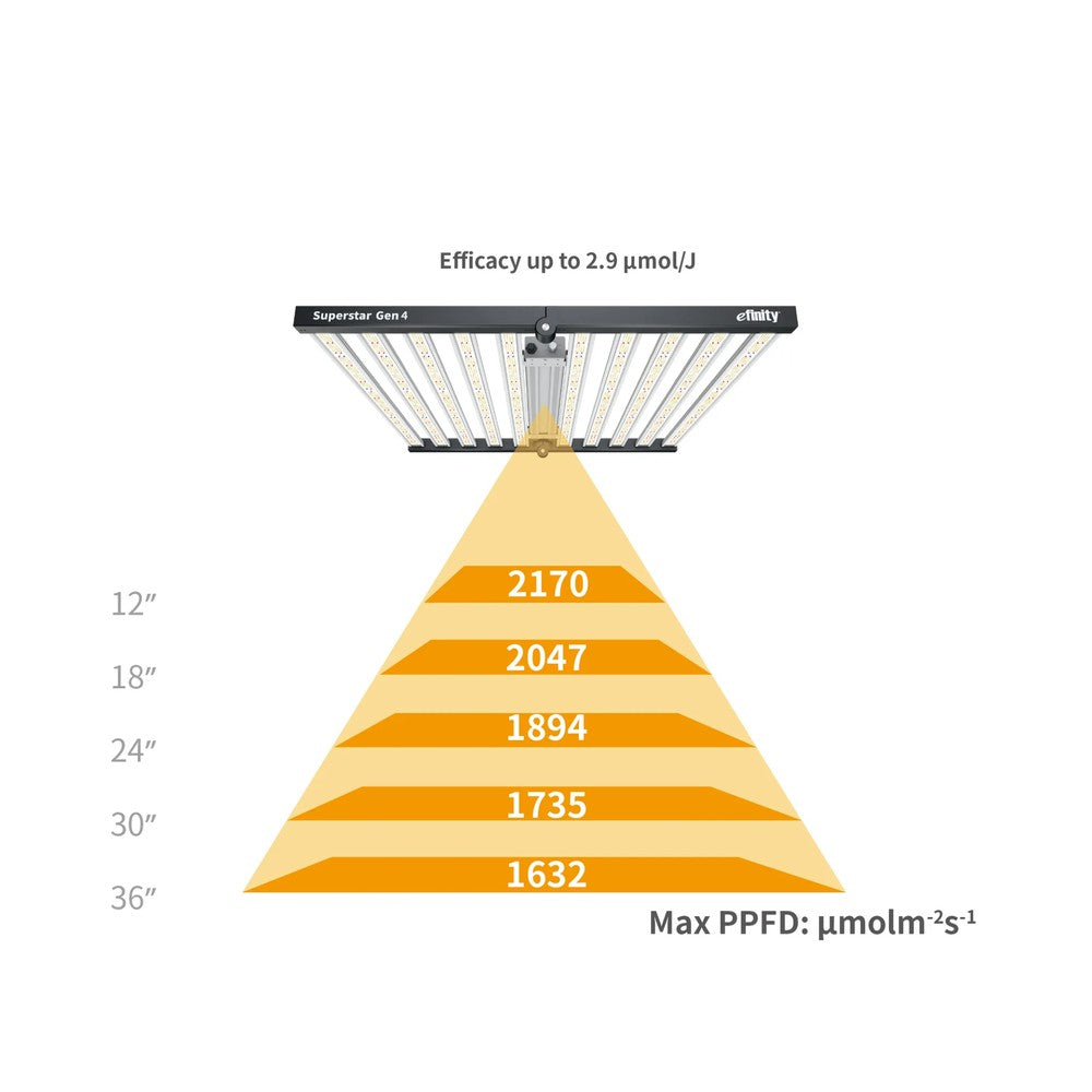 Superstar GEN IV 840W Indoor LED - Black Label Supply llc