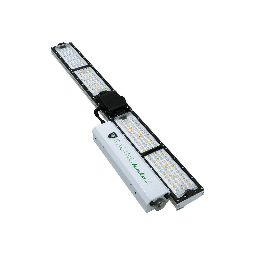 Scynce - Raging Kale II – LED - Top Light