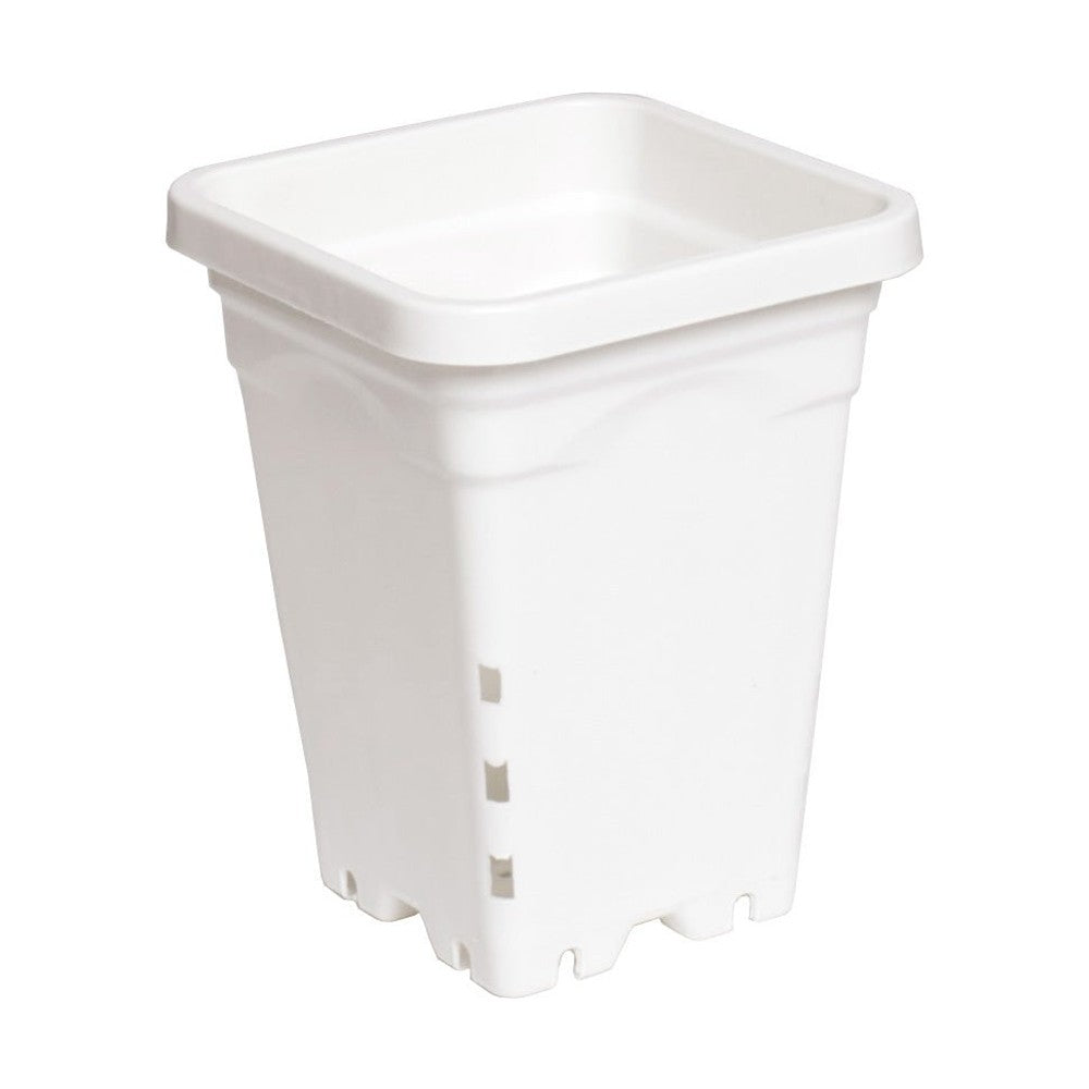 Active Aqua Sq Pot White - Black Label Supply llc