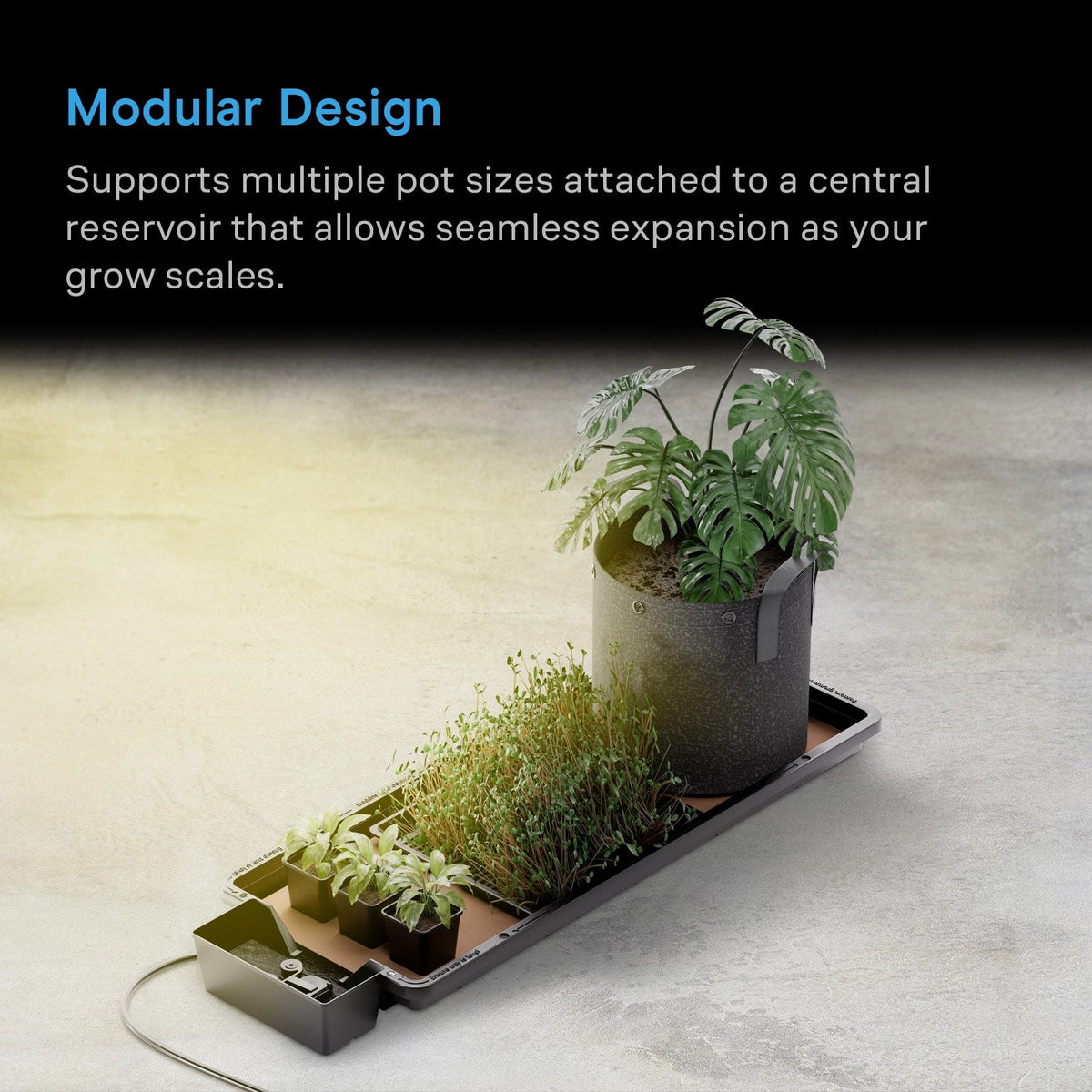 AutoPot Tray2Grow Slim Kit, Gravity-Powered Automated Tray System - detail 3