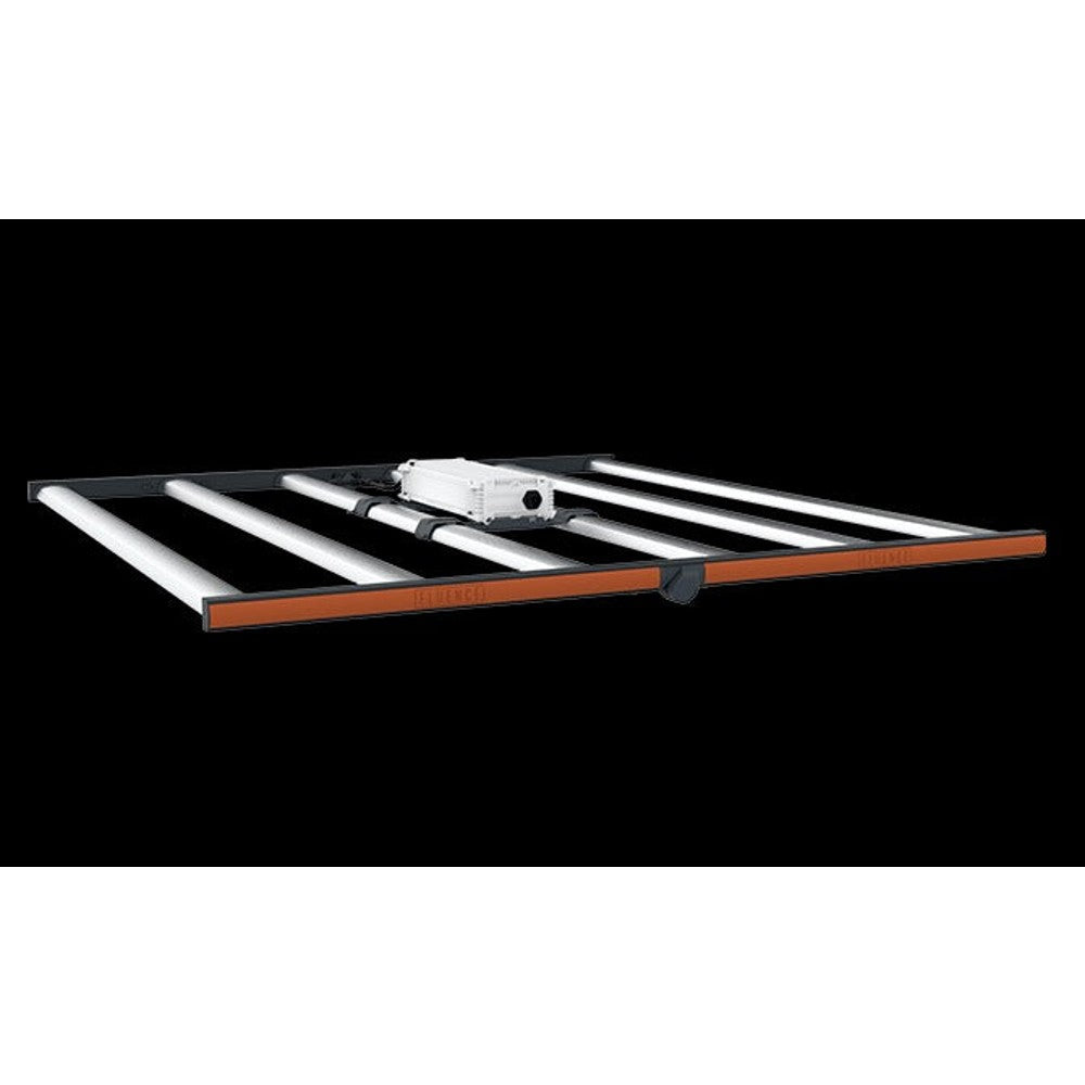Fluence SPYDR FANG LED – LED - Bar Style