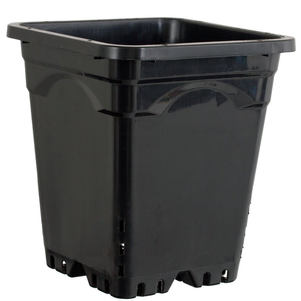 Square Black Pot - Black Label Supply llc