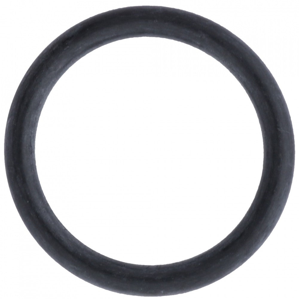 Dema MixRite TF5 Cylinder Support O-Ring – Irrigation Accessories