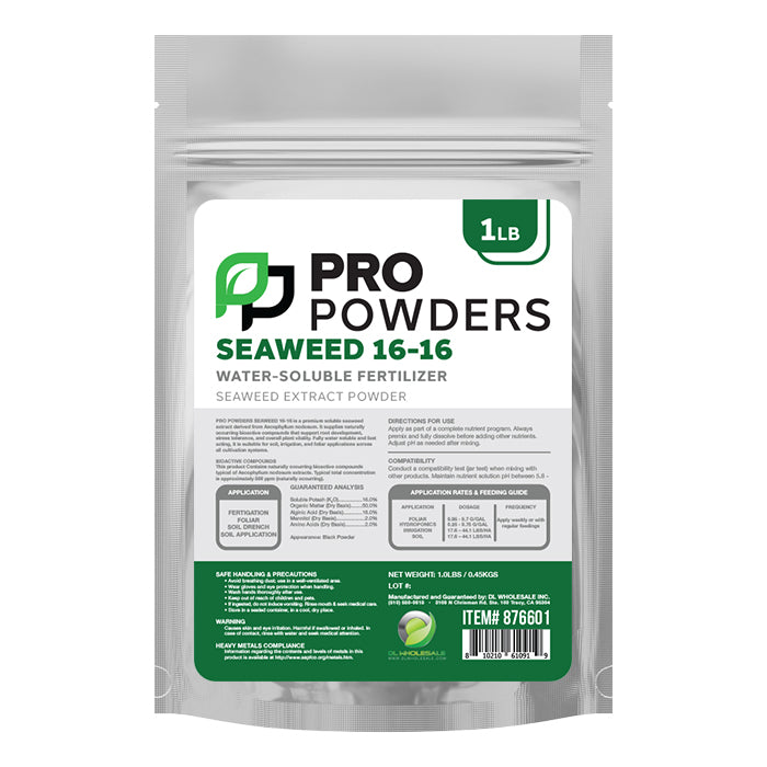 Seaweed 16-16