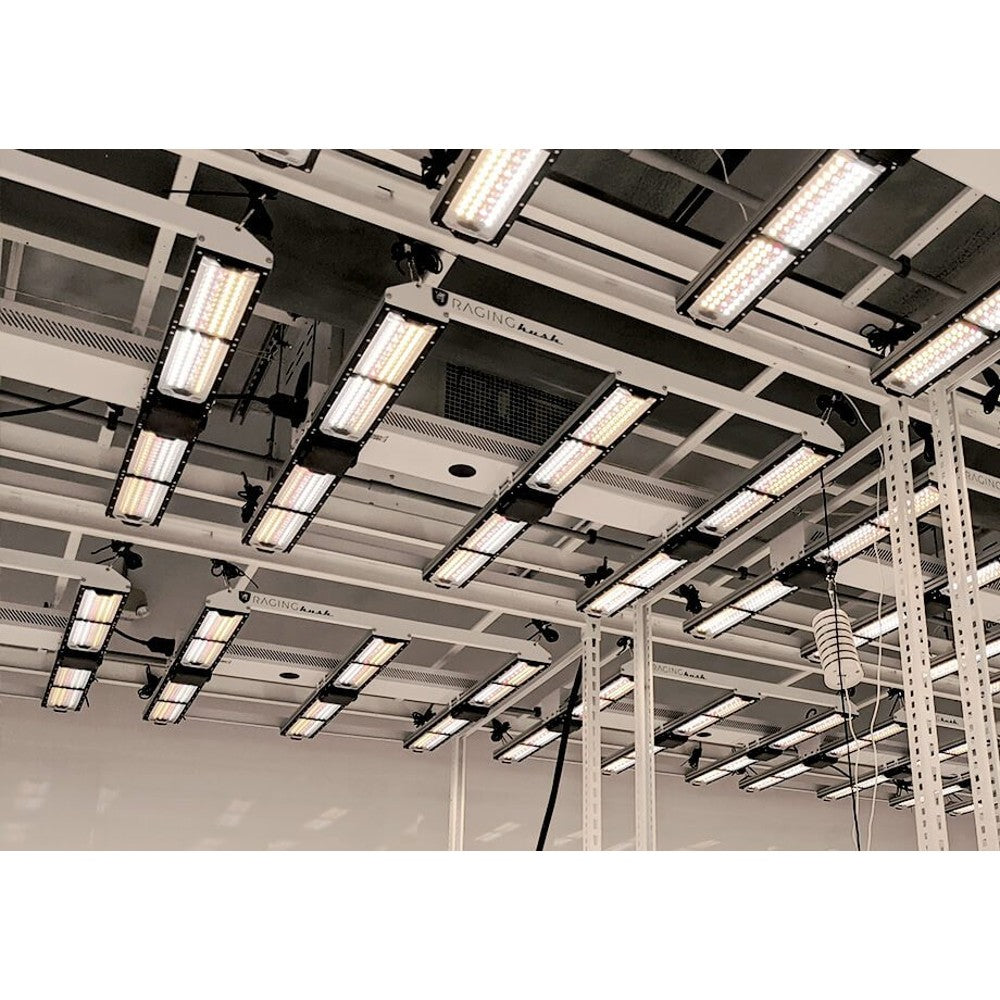 Scynce - Raging Kush II (120 degree optics) – LED - Bar Style