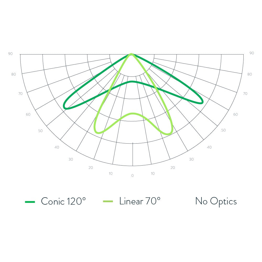 Scynce - Raging Kale II – LED - Top Light