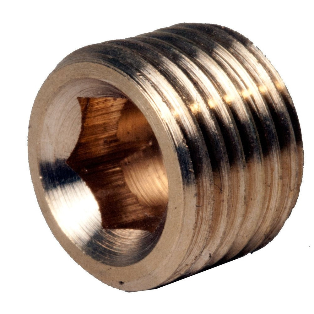CO2 Generator Brass Plug - Black Label Supply llc