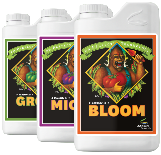ph Perfect® Bloom
