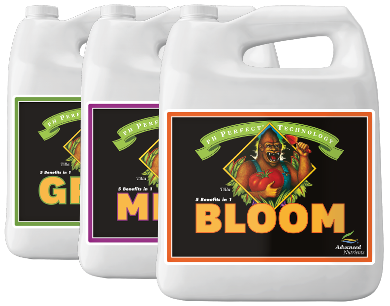 ph Perfect® Bloom
